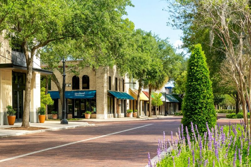 Construction in Spring